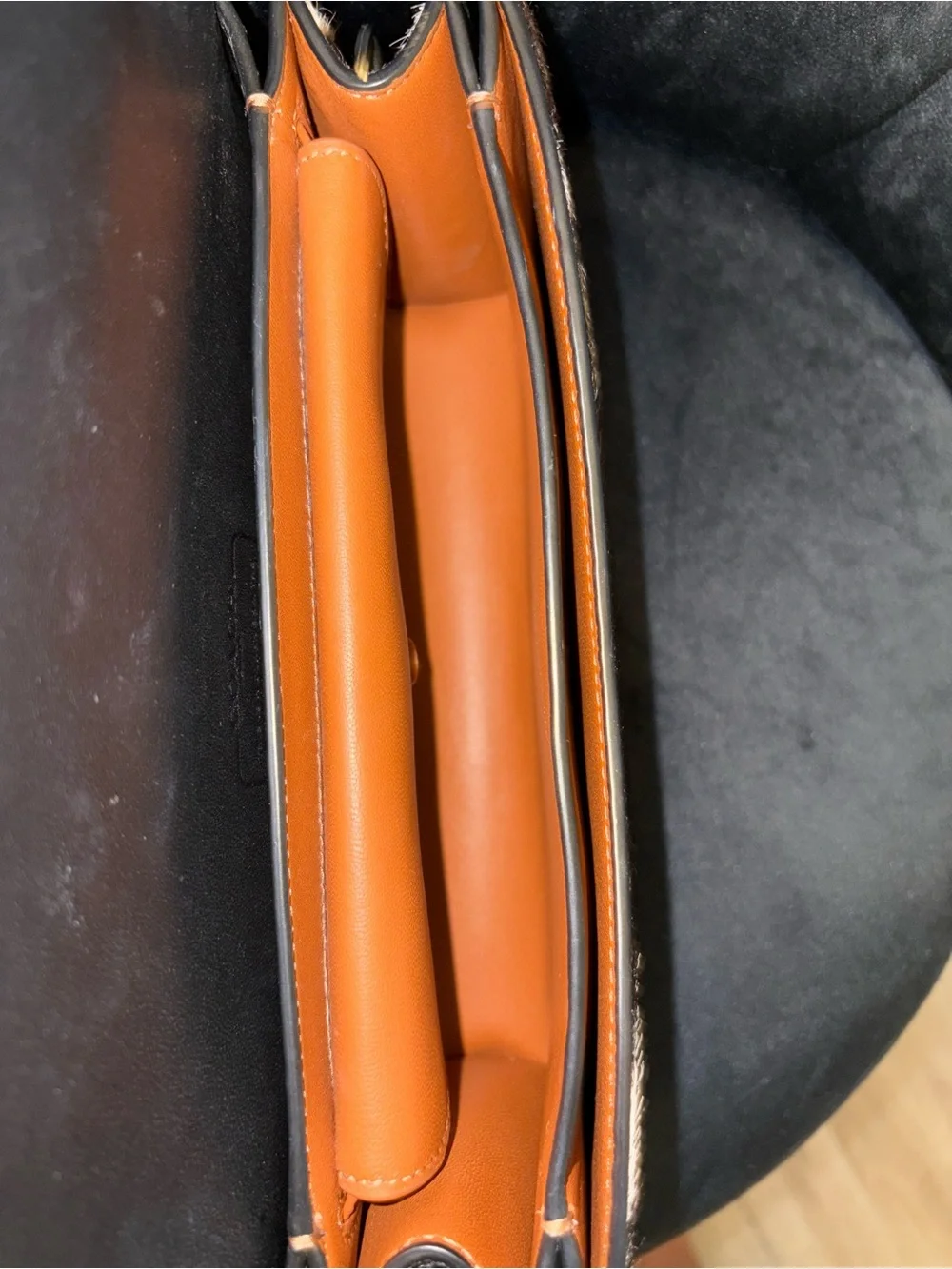 Coach bag Zebra-Print Crossbody